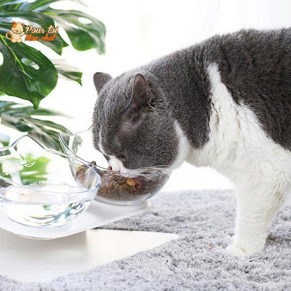 Gamelle Tête de Chat 2 en 1 - Cat'Twin'Bowl™ Pour toi Mon chat