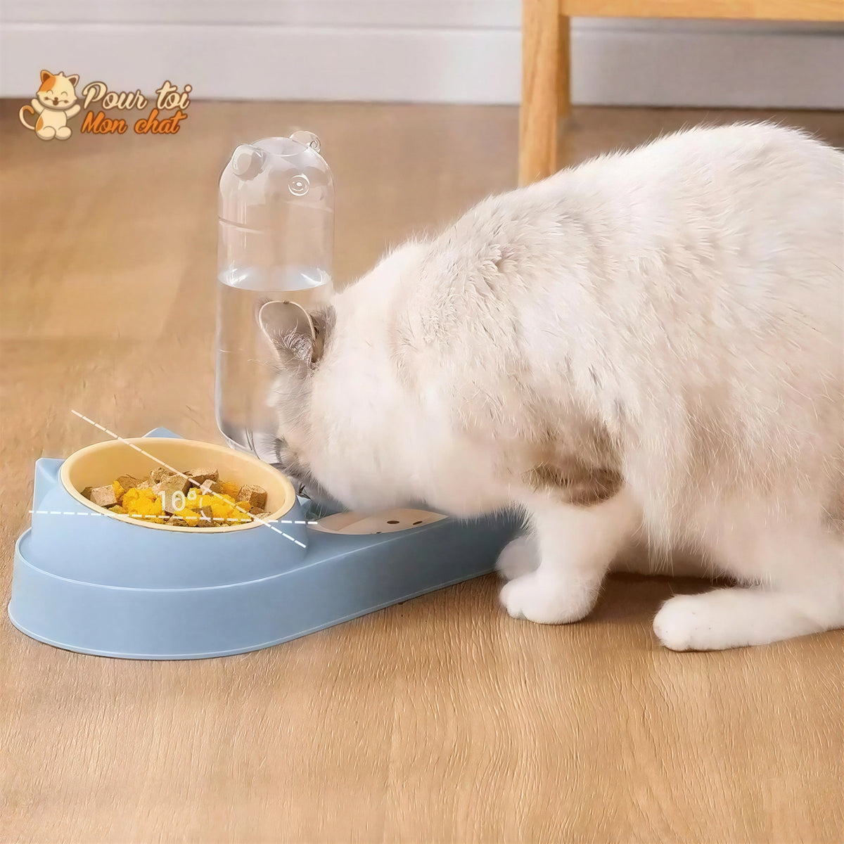 Fontaine à eau et bols à croquettes et friandises pour chat - Perfect Trio Pour toi Mon chat