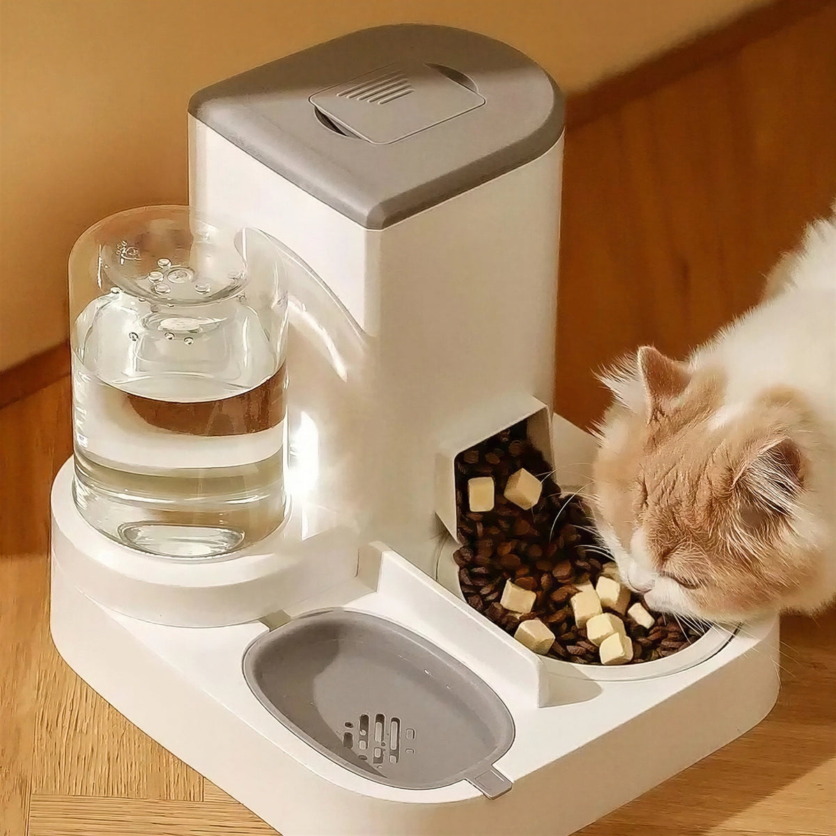 Distributeur Croquettes Chat avec Réserve d'Eau et Bol en Céramique Pour toi Mon chat