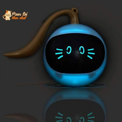 Balle Magique Lumineuse pour Chat - Catch'Cat™ Pour toi Mon chat