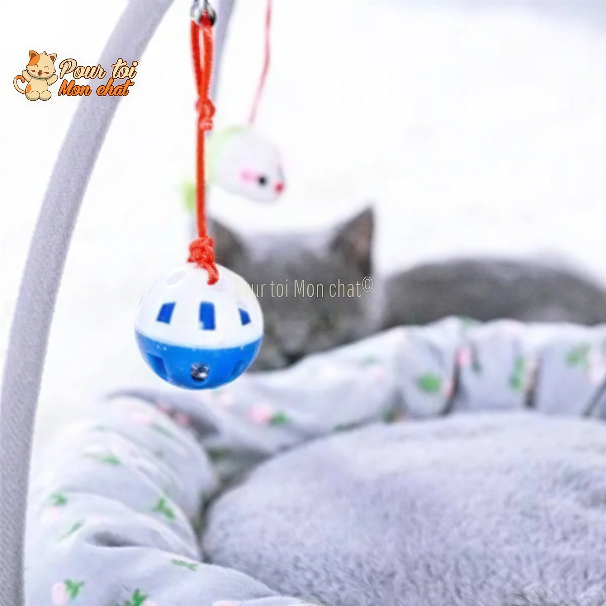 PANIER DE JEU LUDIQUE ET CONFORTABLE POUR CHAT - ARC4CAT™ Pour toi Mon chat