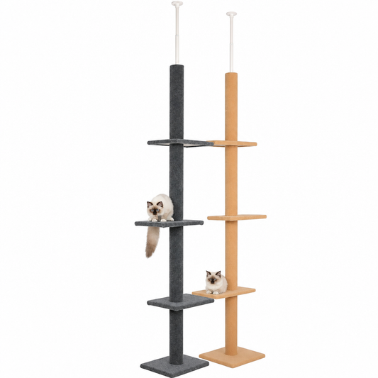 Arbre d'escalade pour chat à cinq niveaux Pour toi Mon chat