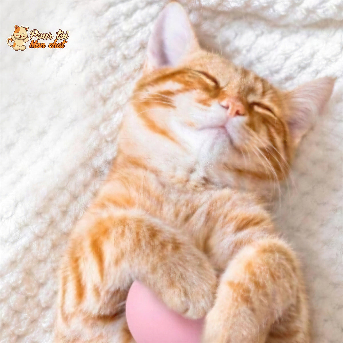 Balle avec des sons d'animaux - Music'Balls™ Pour toi Mon chat