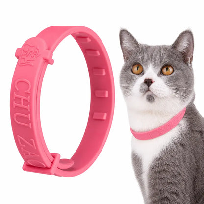 Anti Puce Chat et Chaton Sous Forme de Collier Pour toi Mon chat