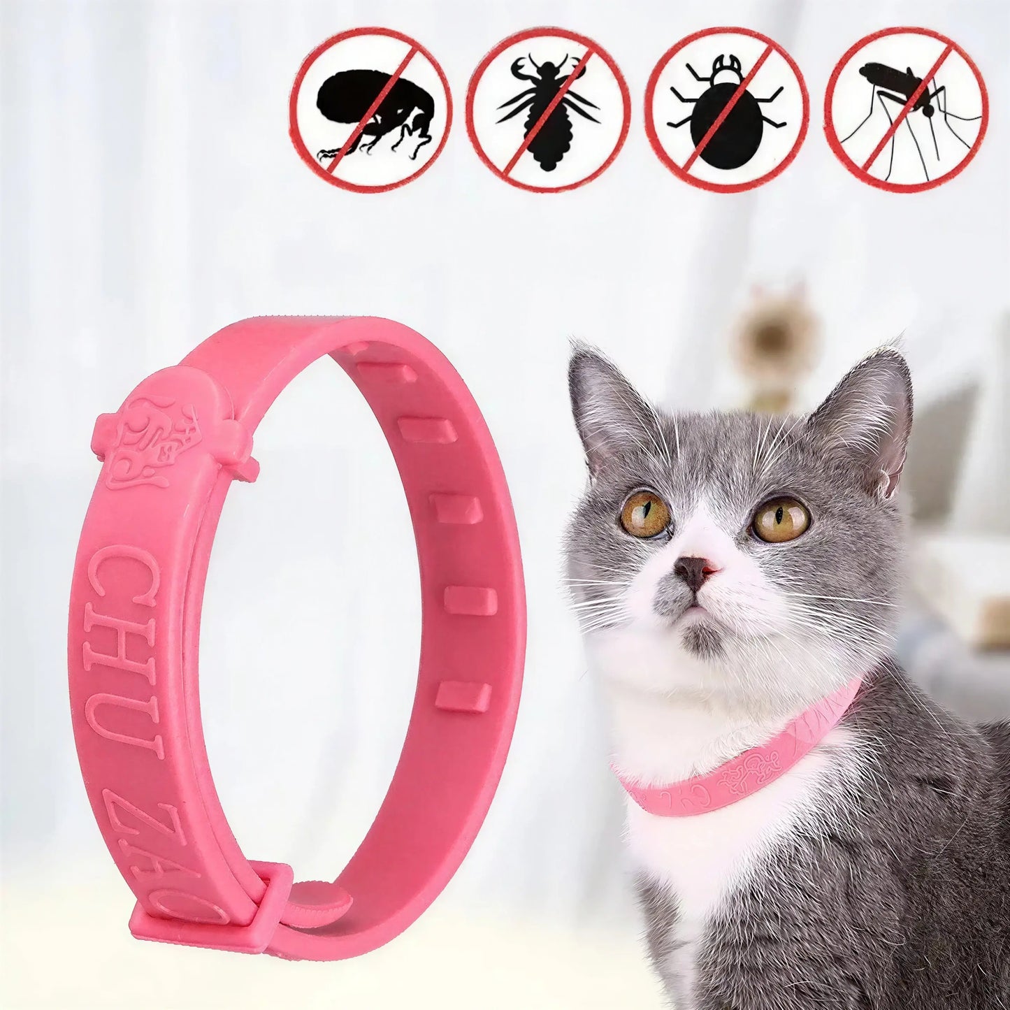 Anti Puce Chat et Chaton Sous Forme de Collier Pour toi Mon chat
