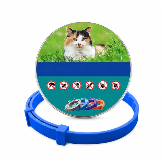 Anti Puce Chat et Chaton Style Collier Ajustable Pour toi Mon chat