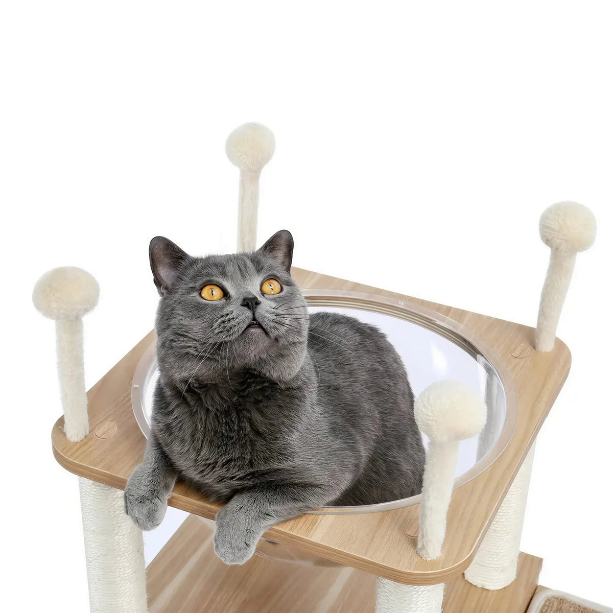 Arbre à chat XXL en sisal à plusieurs niveaux Pour toi Mon chat