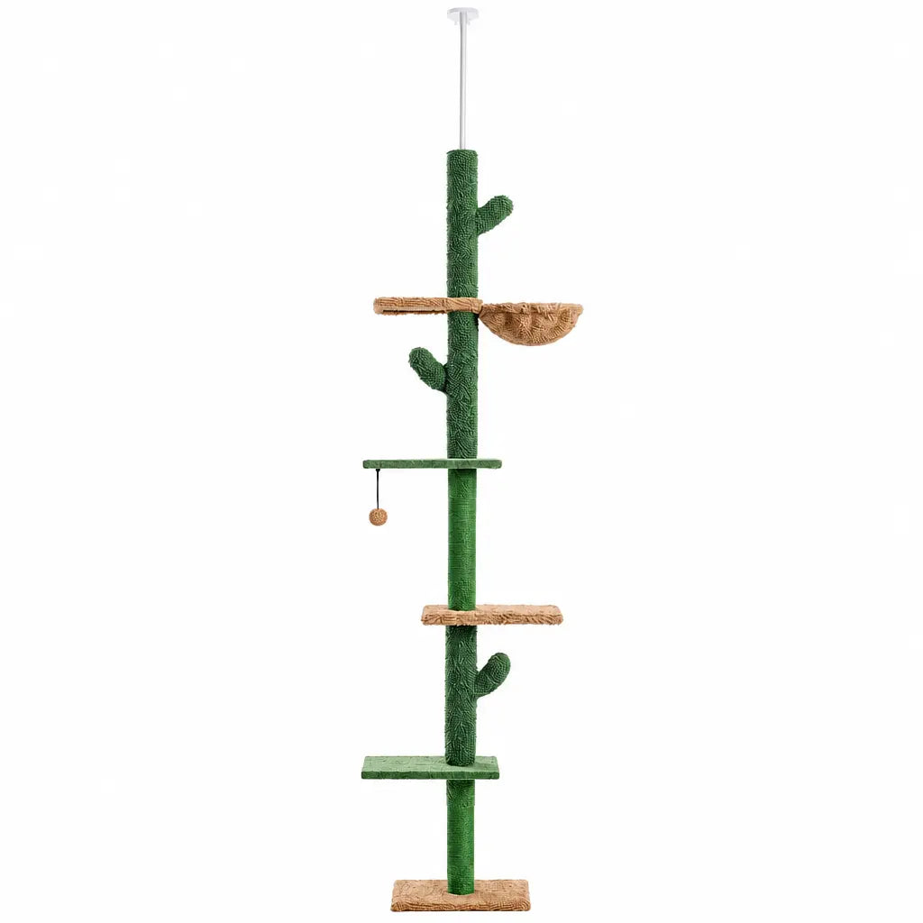 Arbre à chat cactus à cinq niveaux Pour toi Mon chat