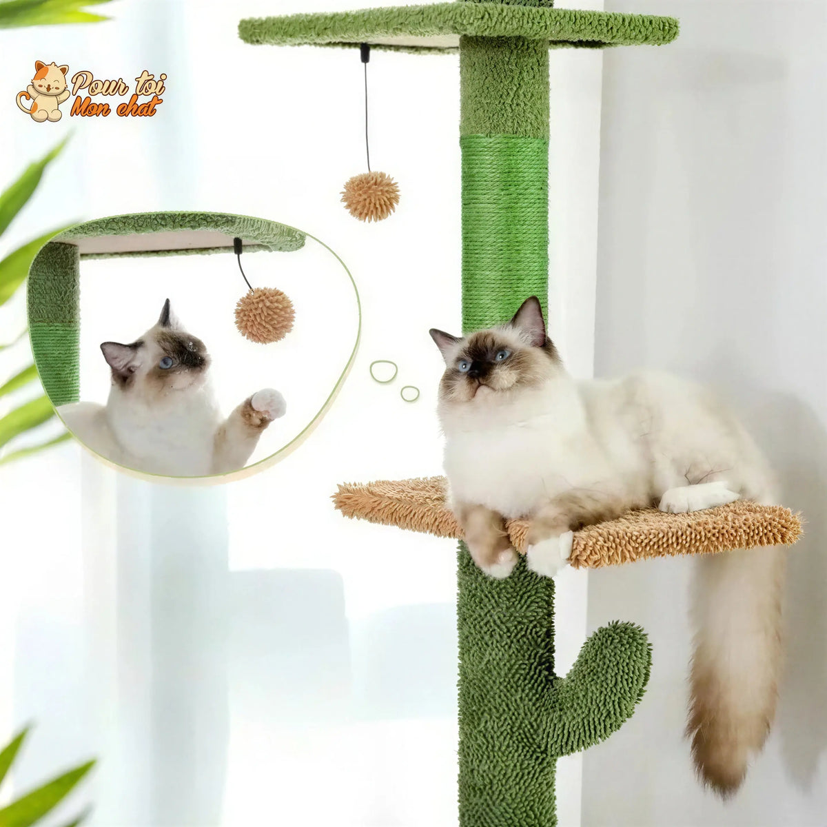Arbre à chat cactus à cinq niveaux Pour toi Mon chat