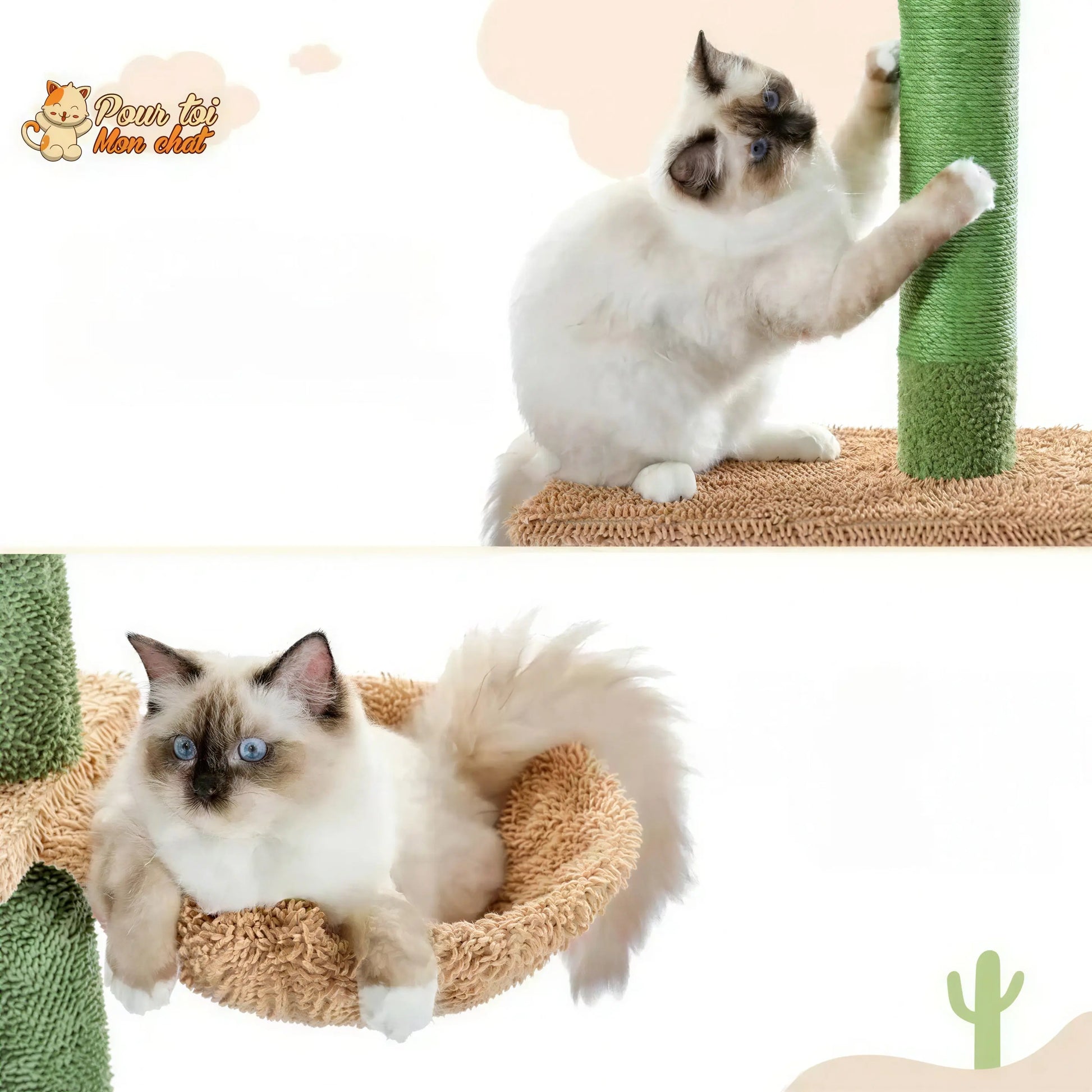 Arbre à chat cactus à cinq niveaux Pour toi Mon chat