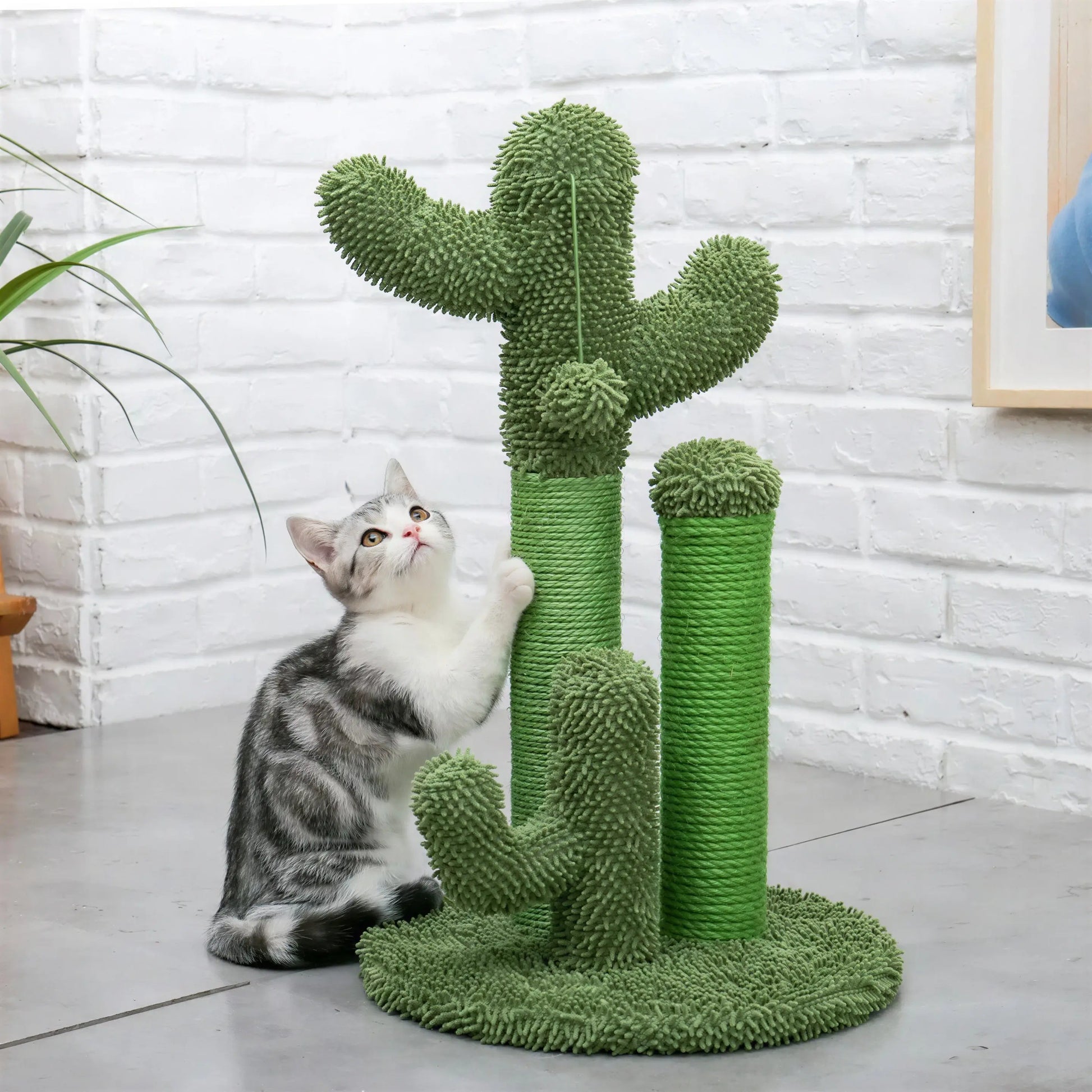 Arbre à chat mignon en forme de cactus avec boule pour chat XXL Pour toi Mon chat
