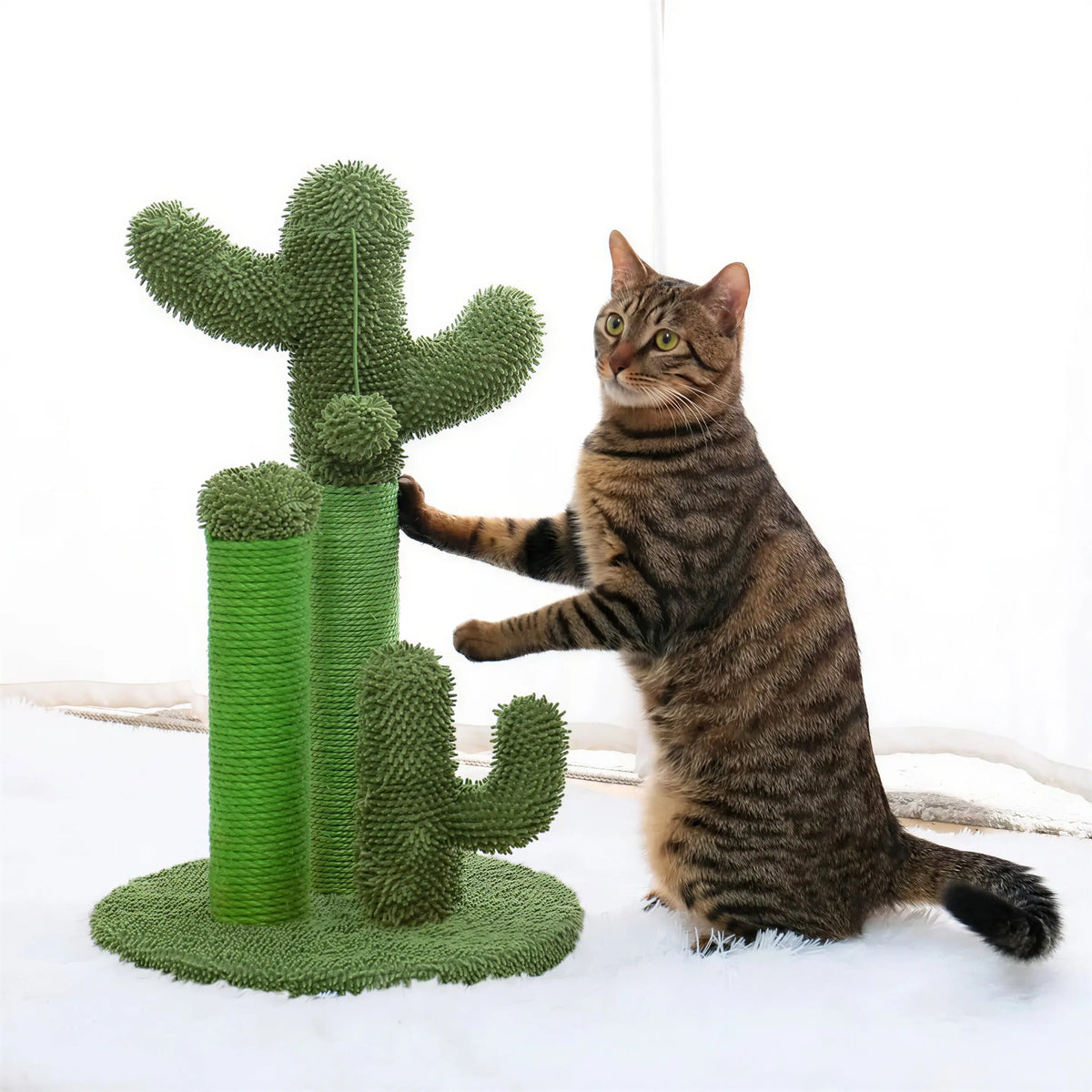 Arbre à chat mignon en forme de cactus avec boule pour chat XXL Pour toi Mon chat
