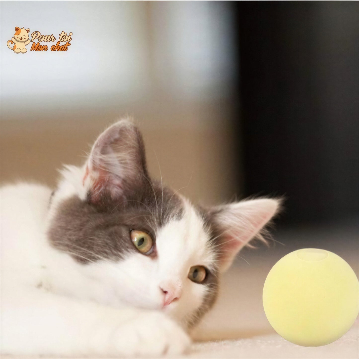 Balle avec des sons d'animaux - Music'Balls™ Pour toi Mon chat