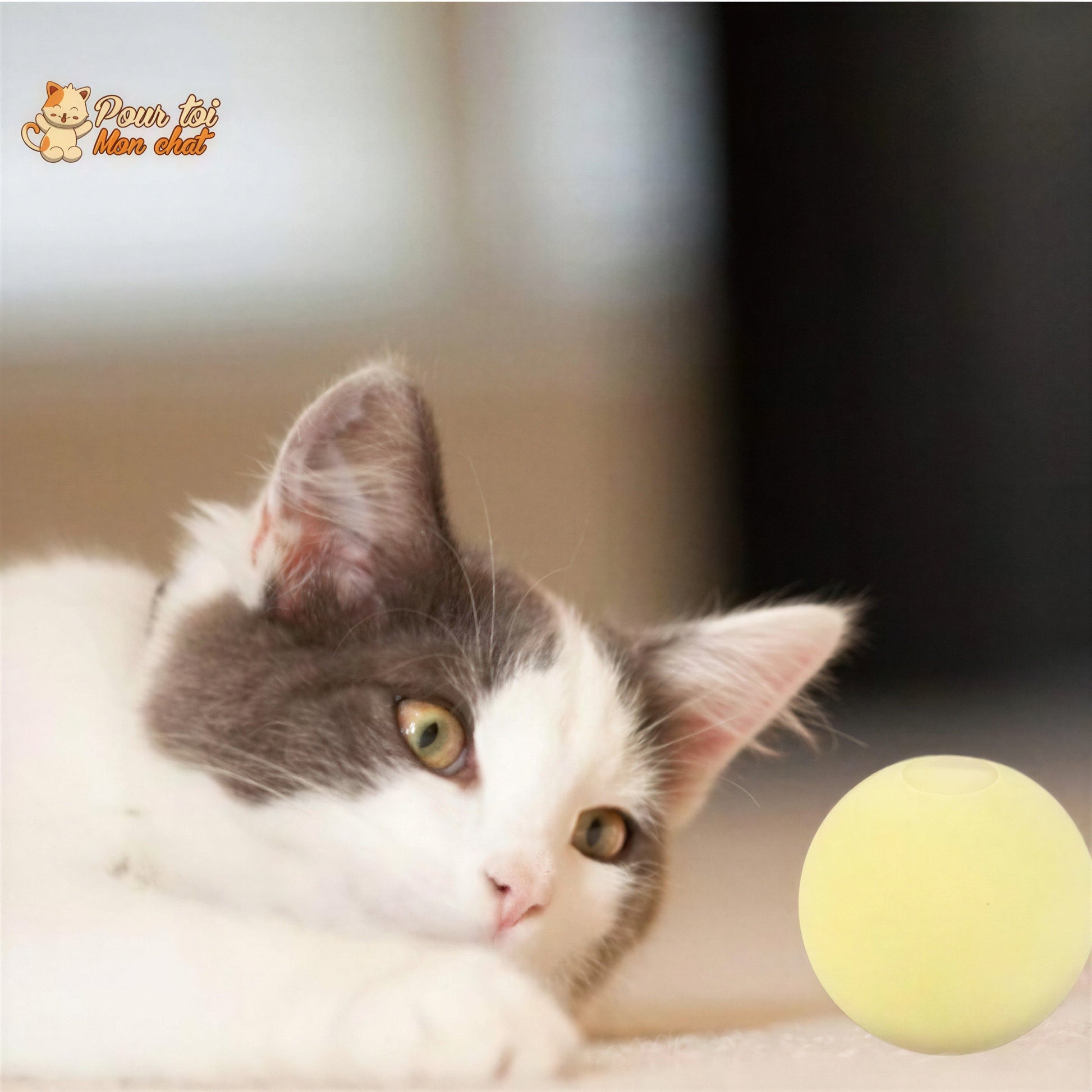 Balle avec des sons d'animaux - Music'Balls™ Pour toi Mon chat