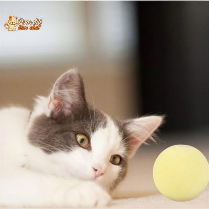 Balle avec des sons d'animaux - Music'Balls™ Pour toi Mon chat