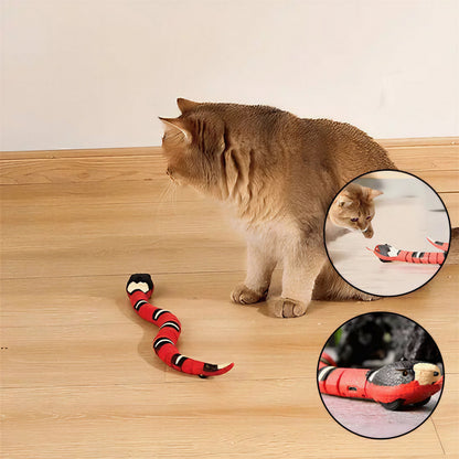 Jouet pour Chat - Serpent Interactif Pour toi Mon chat