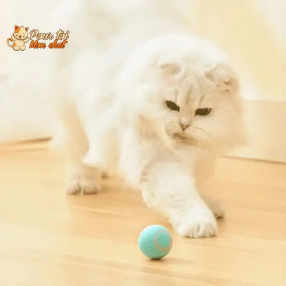 BALLE ROULANTE INTELLIGENTE POUR CHAT – Vite’Balle’Chat™ Pour toi Mon chat