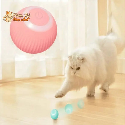 BALLE ROULANTE INTELLIGENTE POUR CHAT – Vite’Balle’Chat™ Pour toi Mon chat