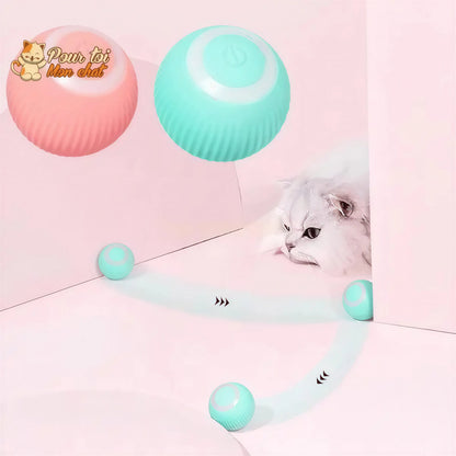 BALLE ROULANTE INTELLIGENTE POUR CHAT – Vite’Balle’Chat™ Pour toi Mon chat