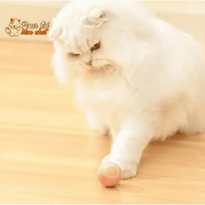 BALLE ROULANTE INTELLIGENTE POUR CHAT – Vite’Balle’Chat™ Pour toi Mon chat