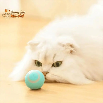 BALLE ROULANTE INTELLIGENTE POUR CHAT – Vite’Balle’Chat™ Pour toi Mon chat
