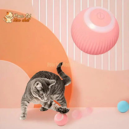 BALLE ROULANTE INTELLIGENTE POUR CHAT – Vite’Balle’Chat™ Pour toi Mon chat