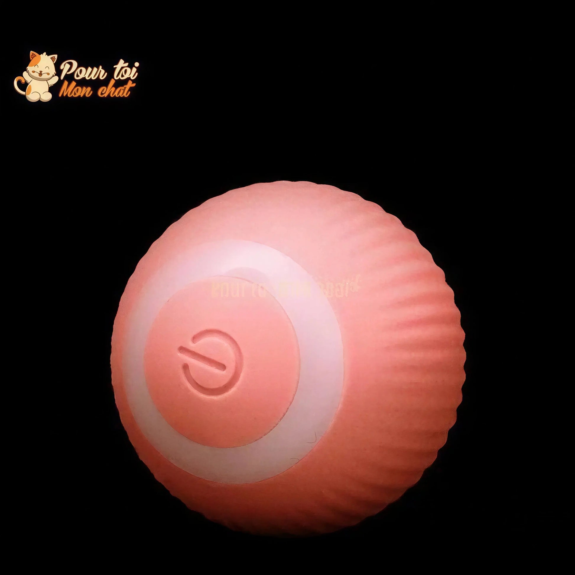 BALLE ROULANTE INTELLIGENTE POUR CHAT – Vite’Balle’Chat™ Pour toi Mon chat