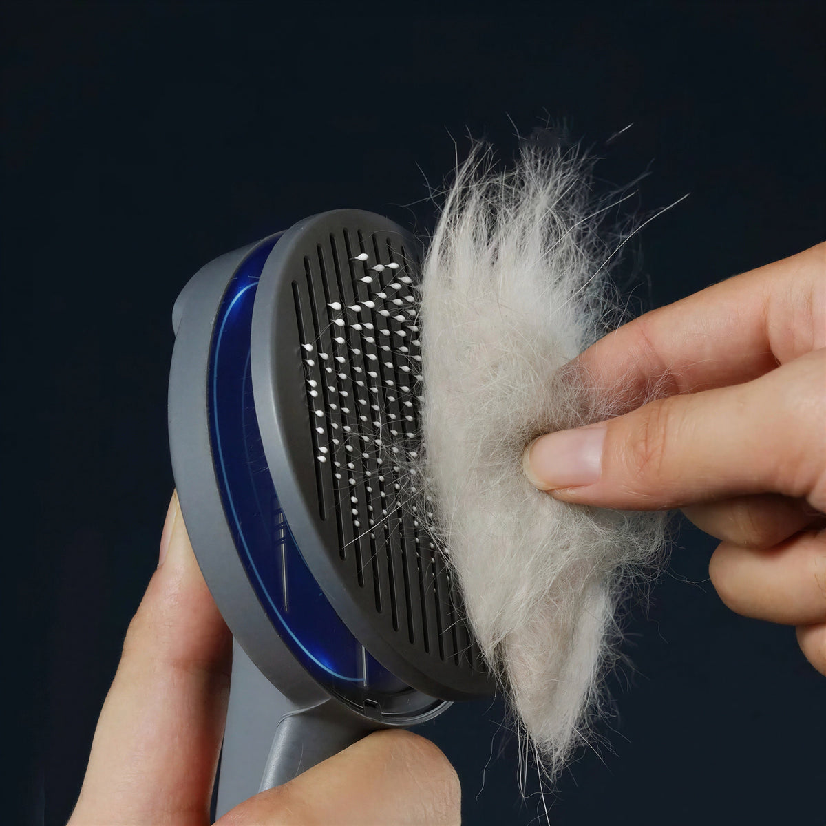 Brosse de toilettage avec bouton en acier inoxydable pour chat Pour toi Mon chat
