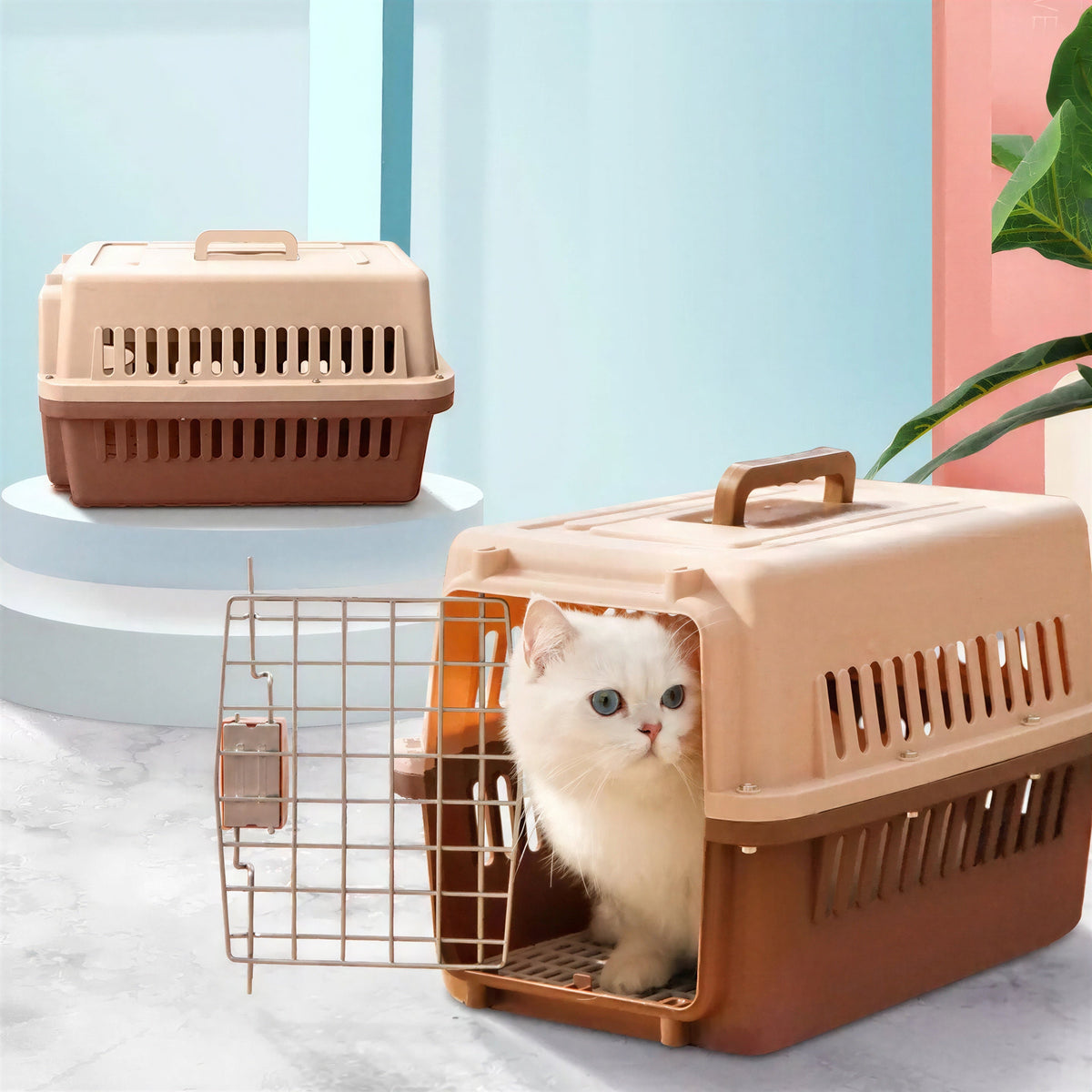 Caisse de transport aérée pour chat Pour toi Mon chat