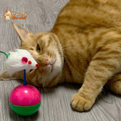 Balle culbuto avec souris - Souris'On'Ball™ Pour toi Mon chat