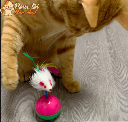 Balle culbuto avec souris - Souris'On'Ball™ Pour toi Mon chat