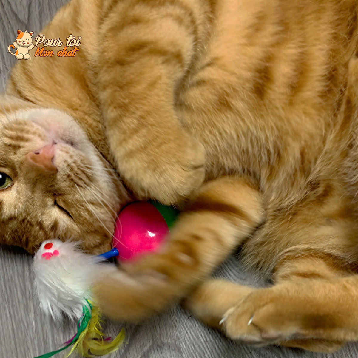 Balle culbuto avec souris - Souris'On'Ball™ Pour toi Mon chat