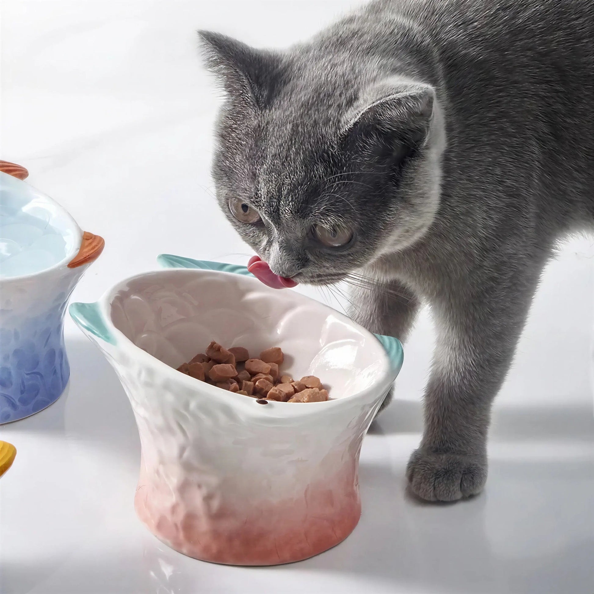 Bol de nourriture en céramique pour chat Pour toi Mon chat