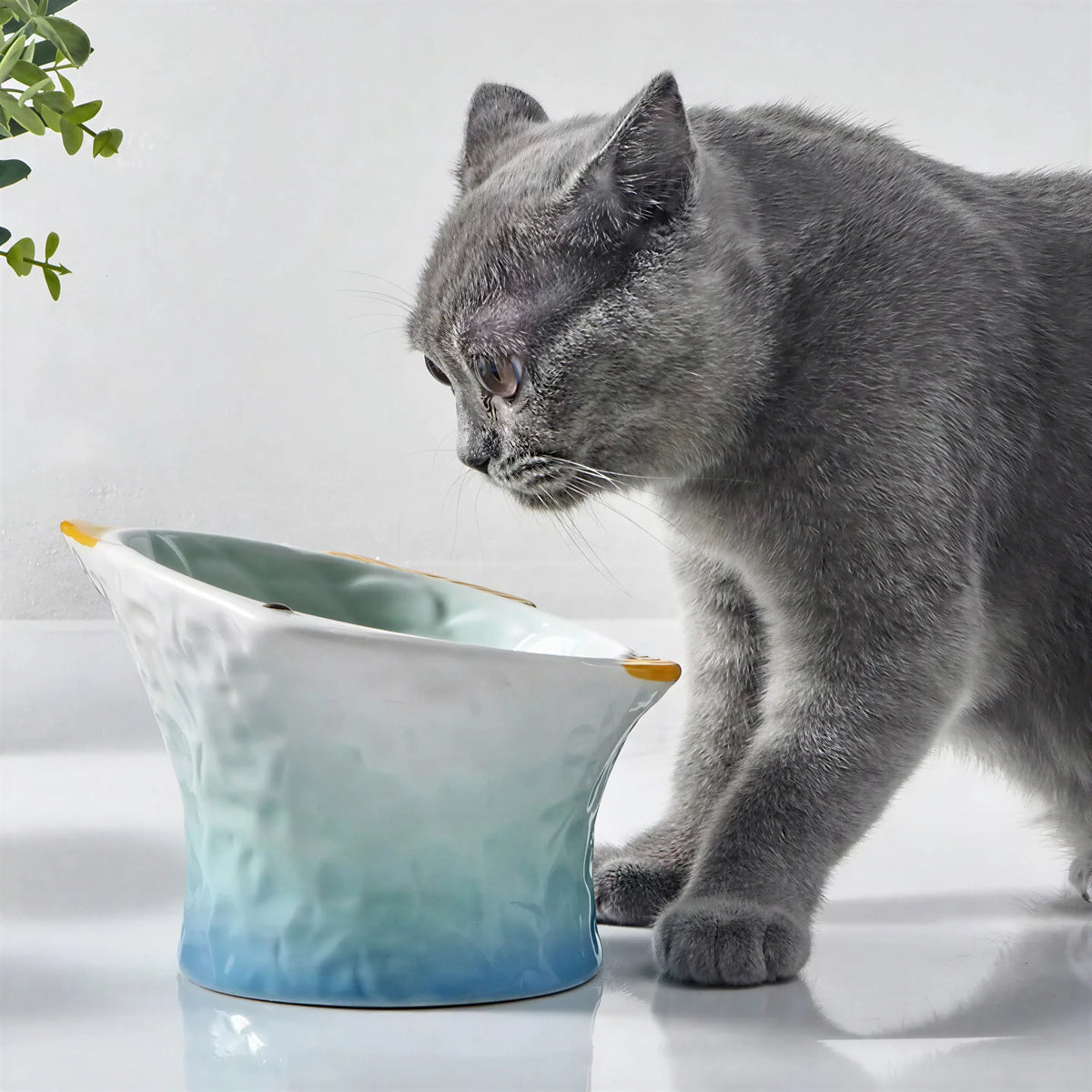 Bol de nourriture en céramique pour chat Pour toi Mon chat