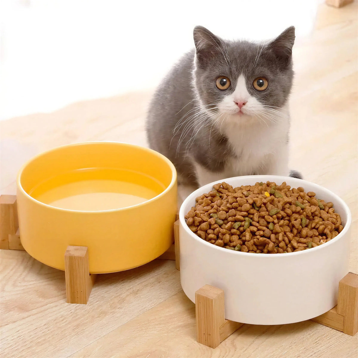 Bol durable en céramique pour chat Pour toi Mon chat