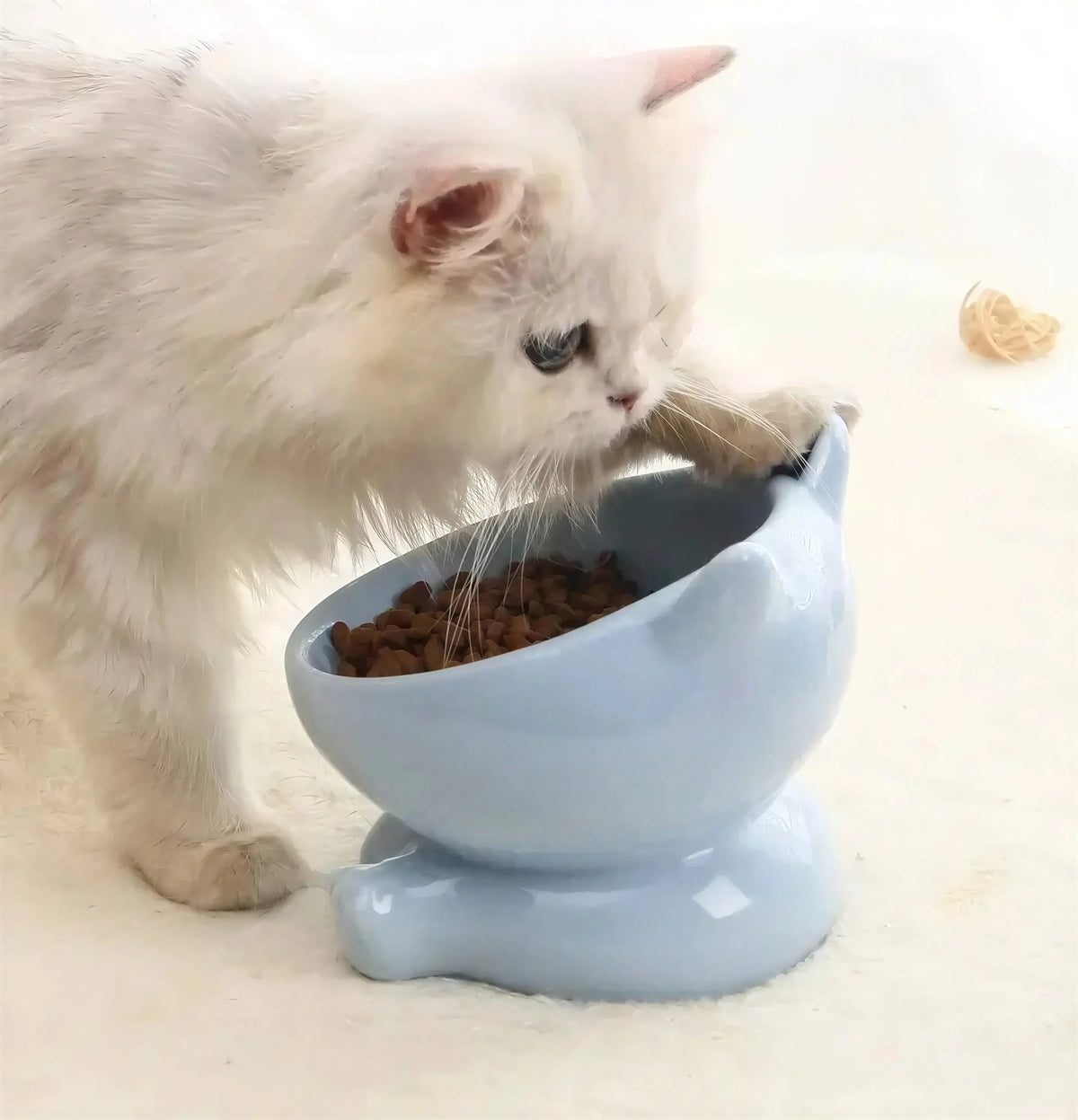 Bol en céramique à pieds hauts pour chat Pour toi Mon chat