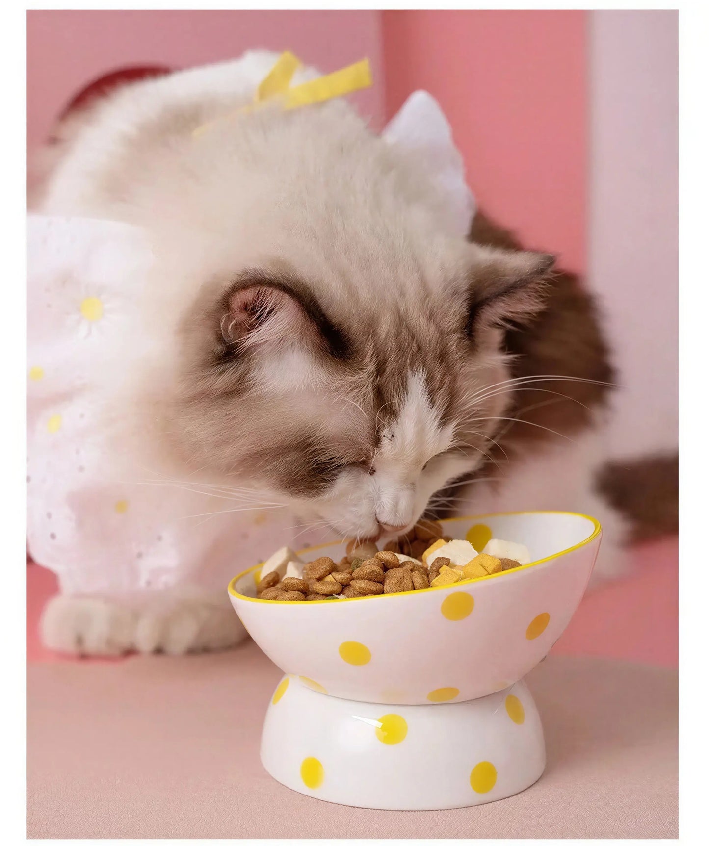 Bol en céramique à pois surélevé pour chat Pour toi Mon chat