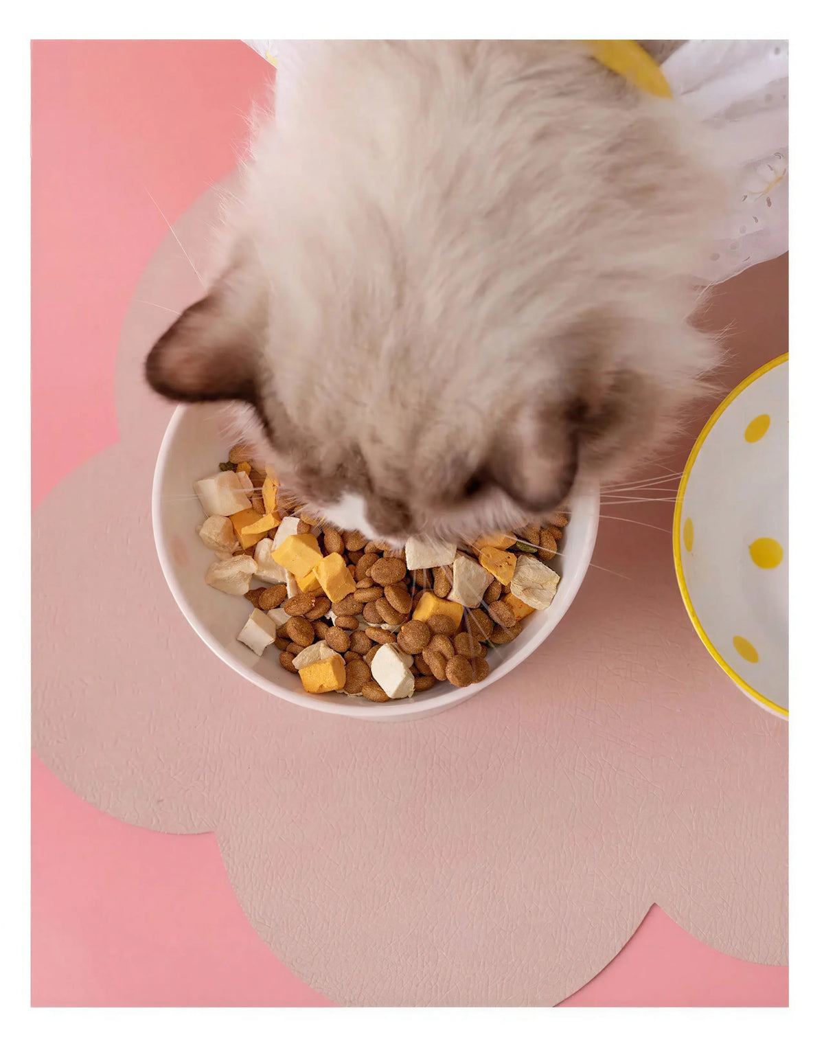 Bol en céramique à pois surélevé pour chat Pour toi Mon chat