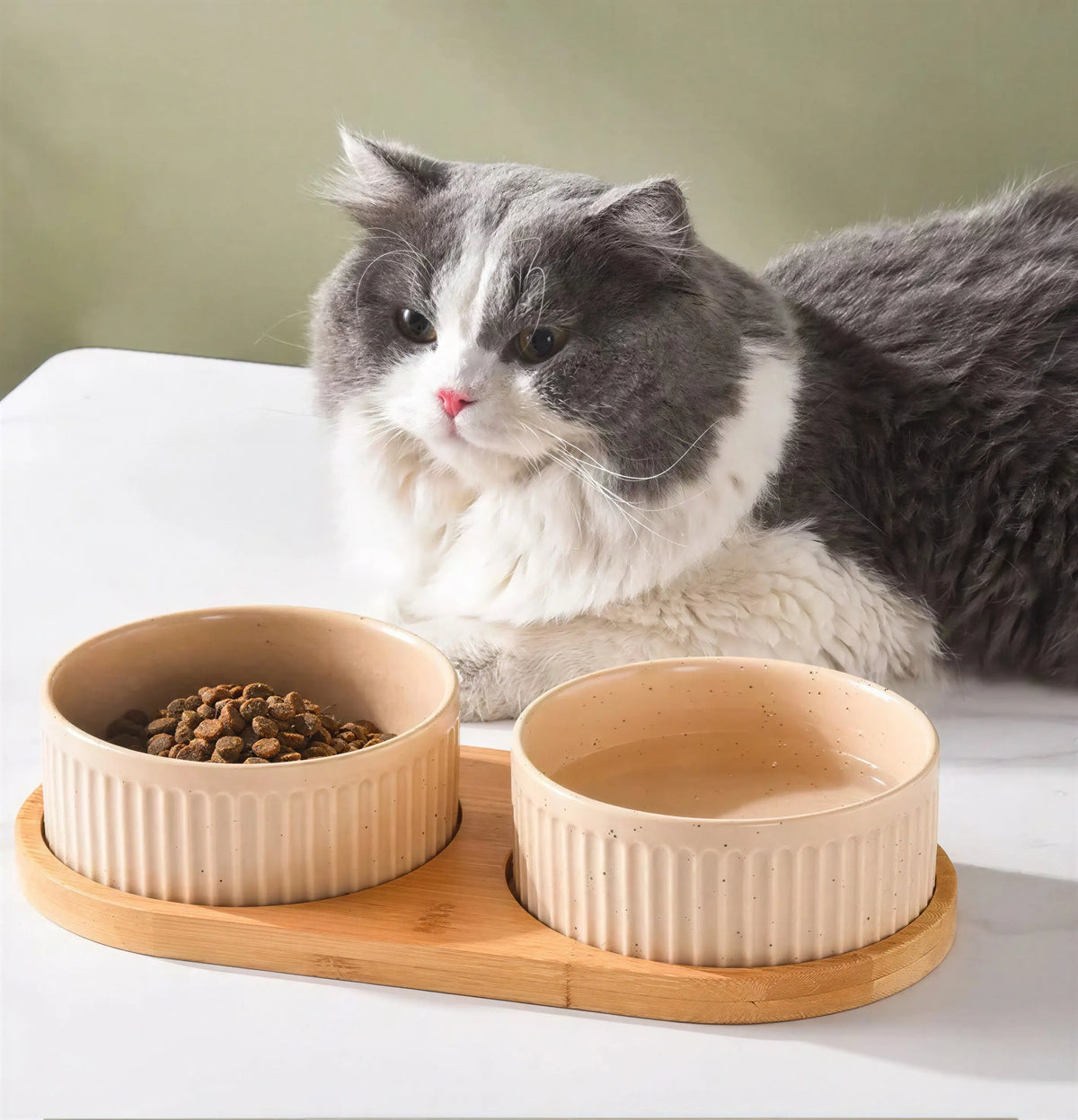 Bol en céramique avec tapis en bois pour chat Pour toi Mon chat