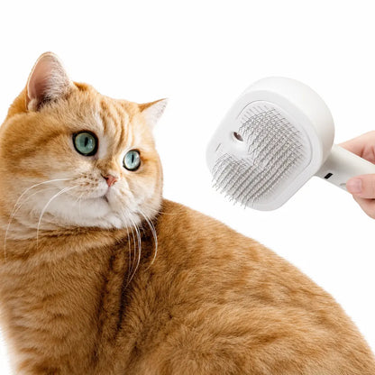 Brosse Chat Poil Long avec Spray à Eau Pour toi Mon chat