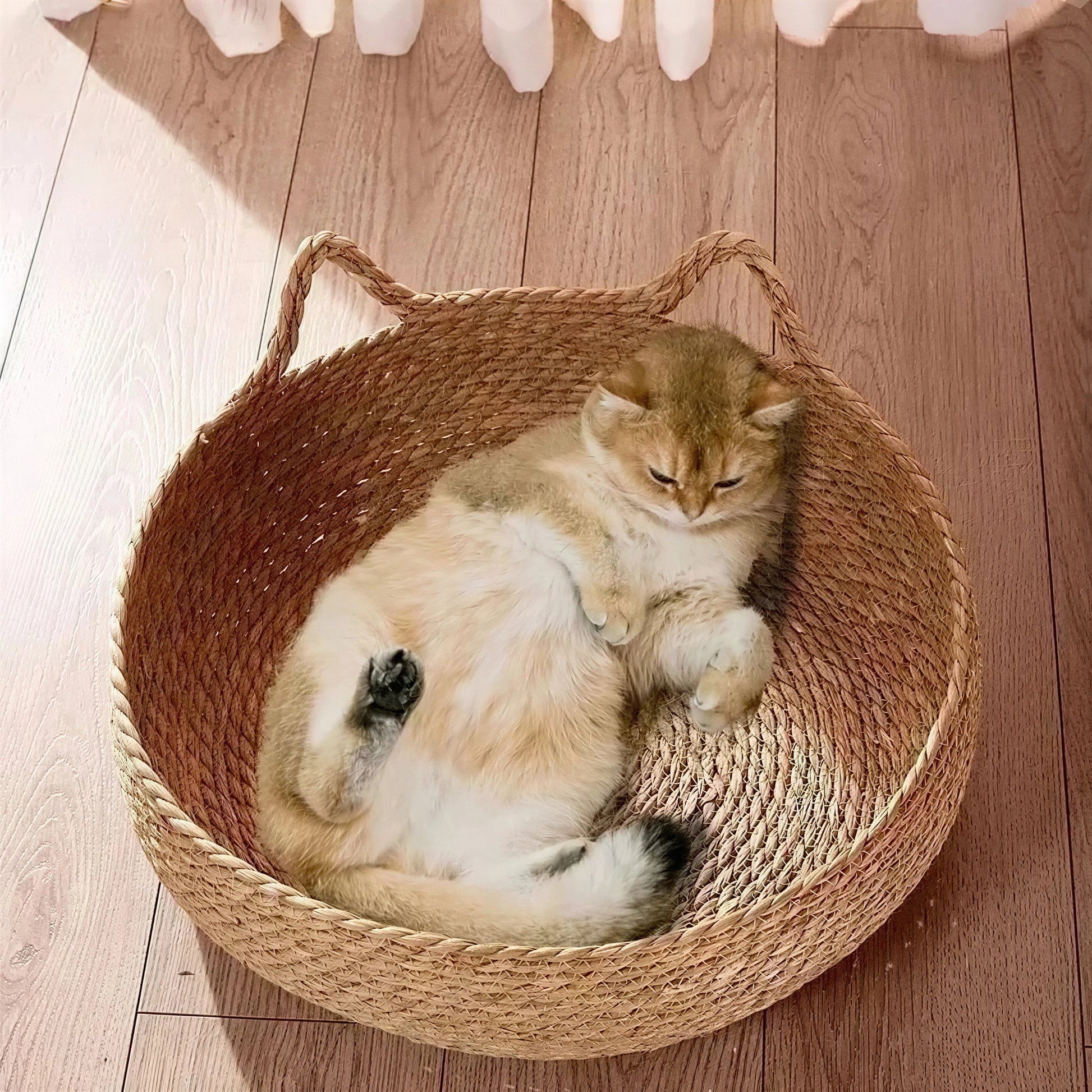 Coussin Chat Rond En Rotin Avec Des Oreilles De Chat Pour toi Mon chat