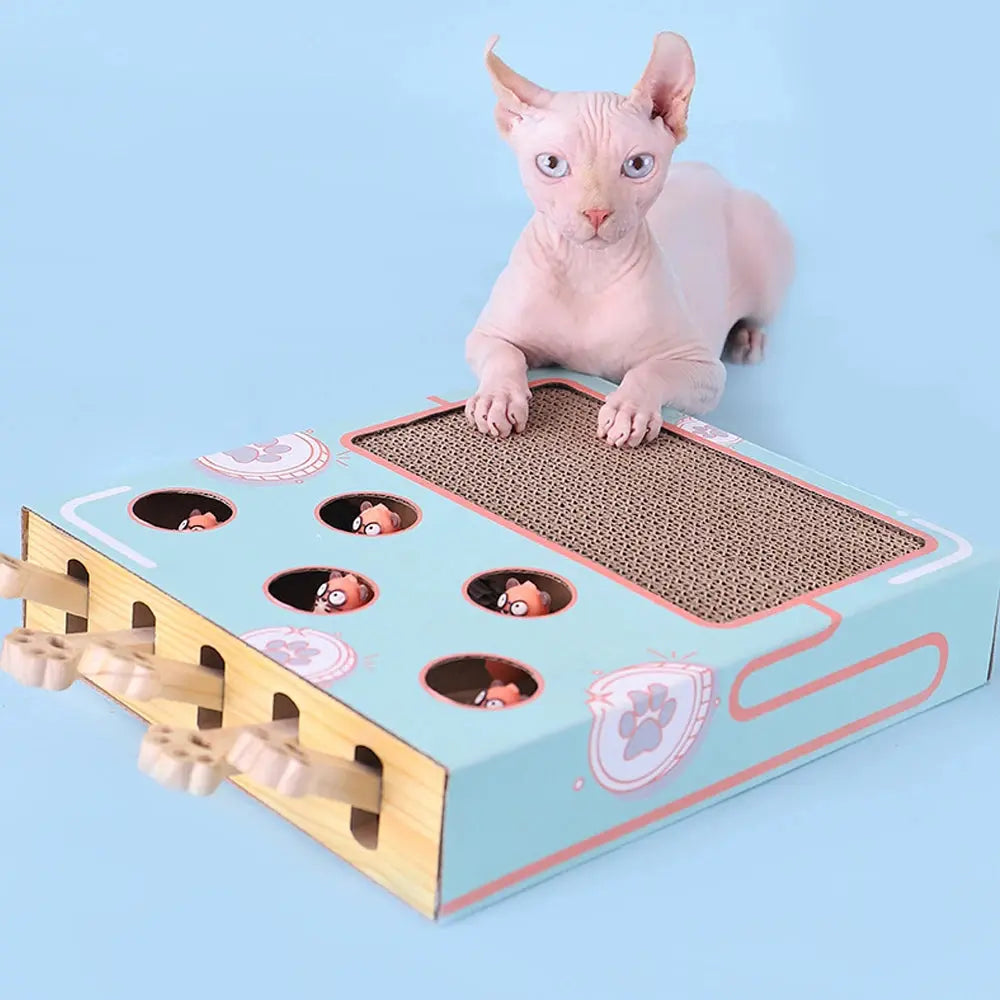 Cat Game Box Maze Interactive Educational Cat Hit Gophers Funny Cat Stick 3 in 1 Cat Toy Chase Hunt Mouse With Scratcher Pour toi Mon chat