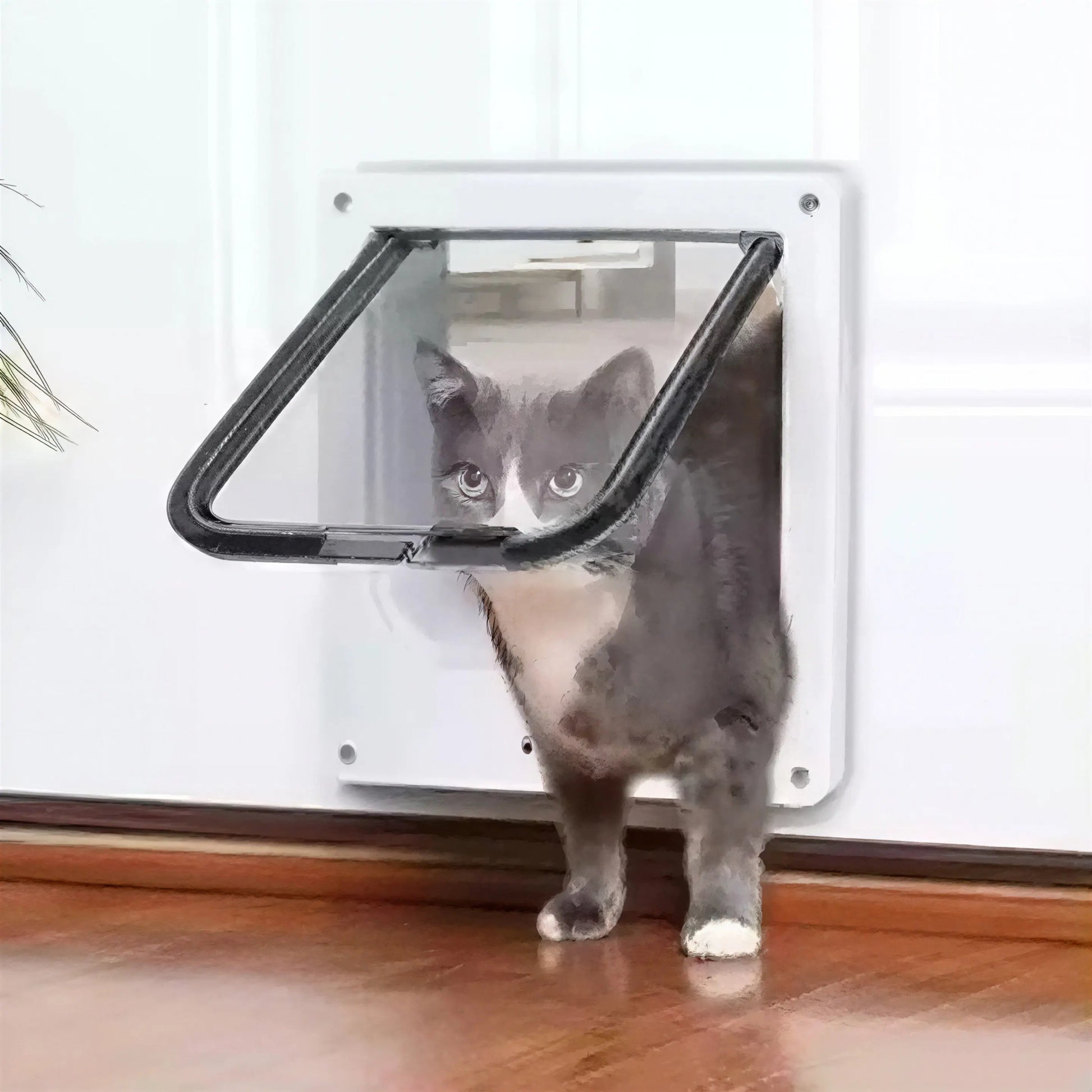 Chatière Moderne avec Contrôle des Sorties Pour toi Mon chat
