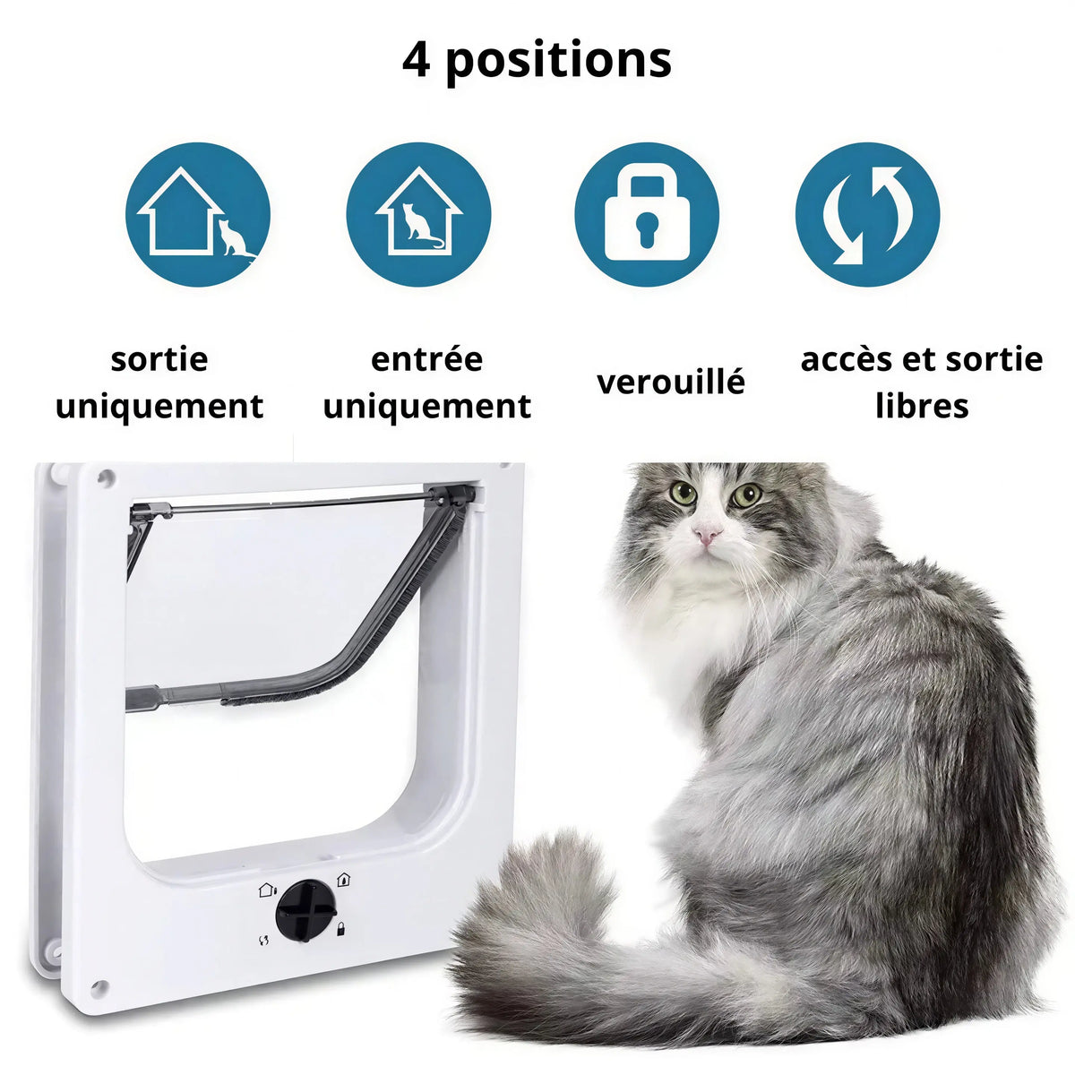 Chatière Moderne avec Contrôle des Sorties Pour toi Mon chat