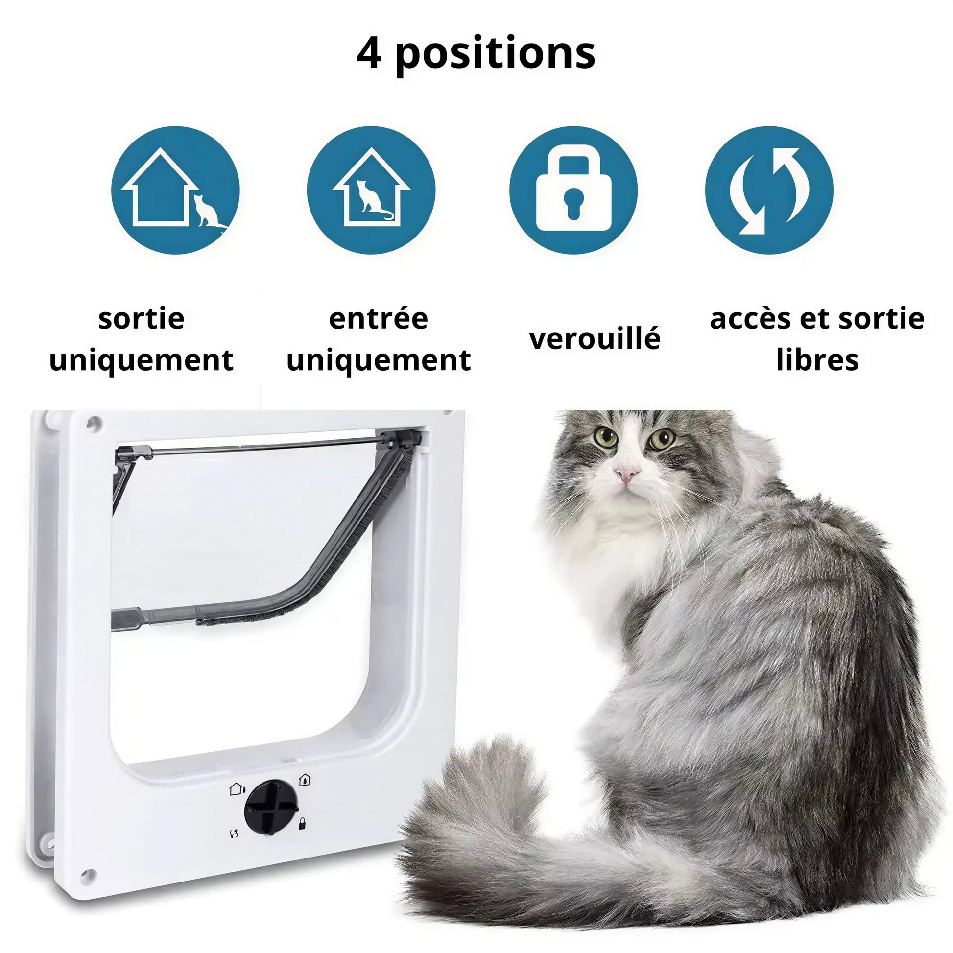Chatière Moderne avec Contrôle des Sorties Pour toi Mon chat