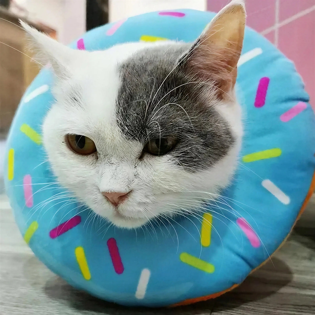 Collerette Gonflable Douce en Forme de Donut pour Chat Pour toi Mon chat