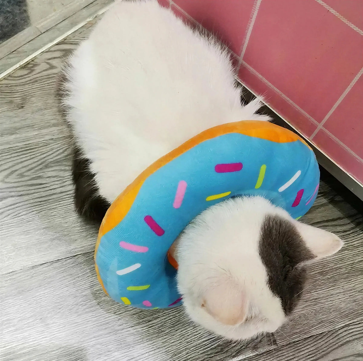 Collerette Gonflable Douce en Forme de Donut pour Chat Pour toi Mon chat