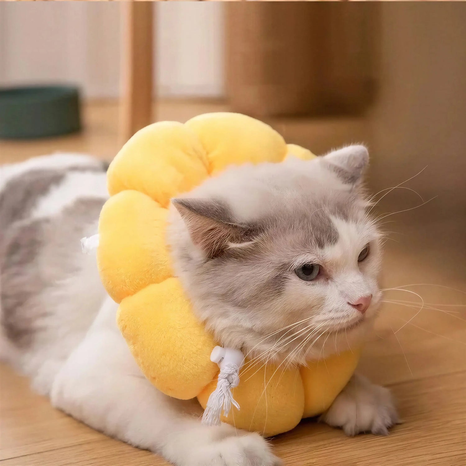 Collerette pour Chat en Forme de Fleur Pour toi Mon chat