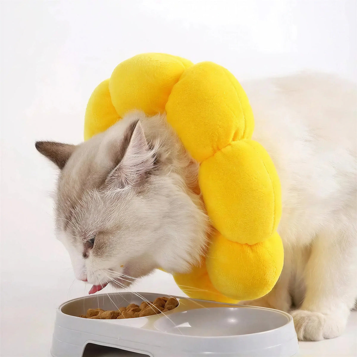 Collerette pour Chat en Forme de Fleur Pour toi Mon chat