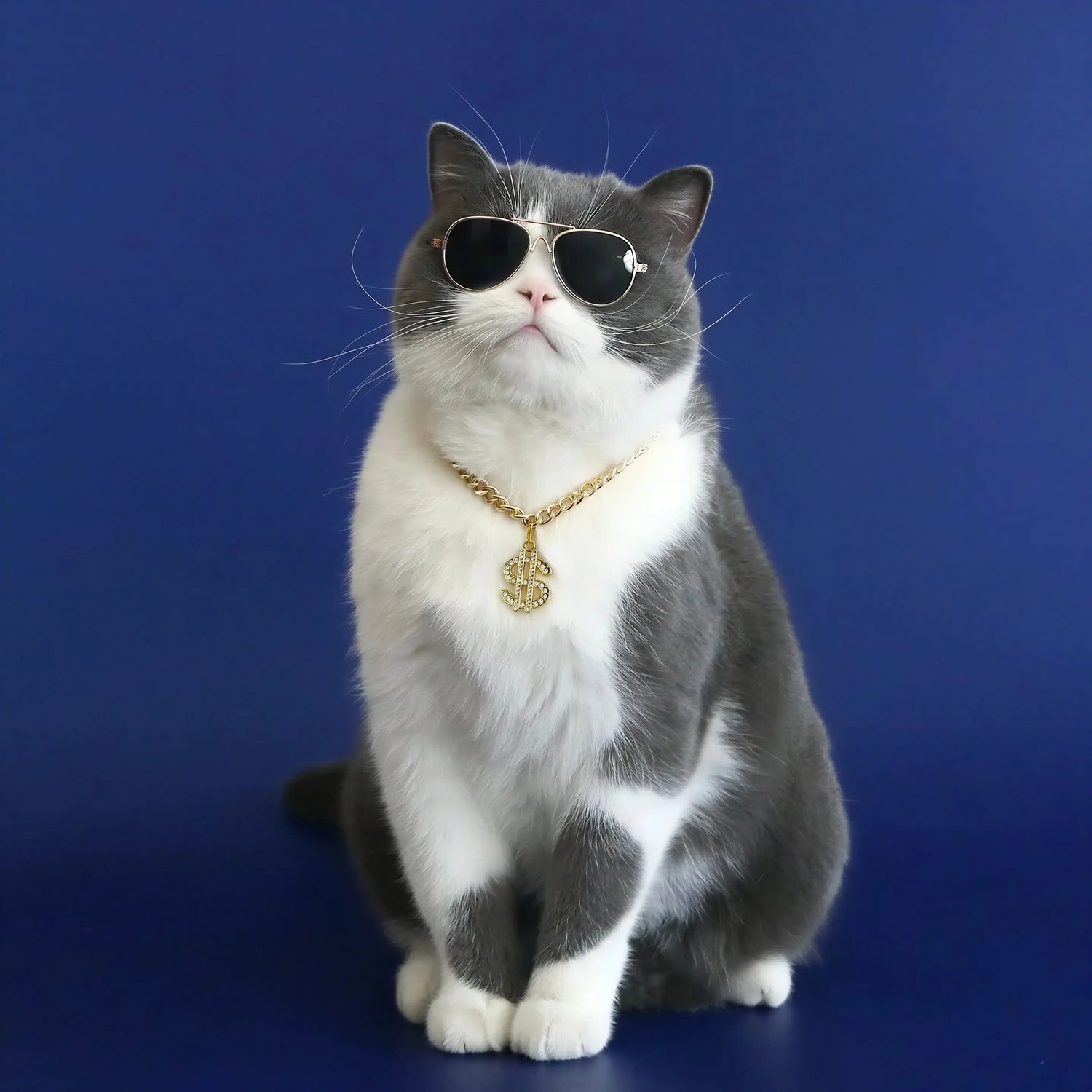 Collier Chat avec Pendentif Dollar Pour toi Mon chat